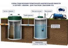 Барс Био 13